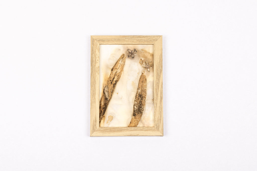 Josie Cosgrove | Where the Light Dances| 10. Kindred