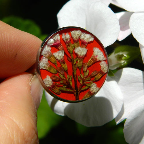 Irina Nazarova | 10. Ring - Australian  Native |