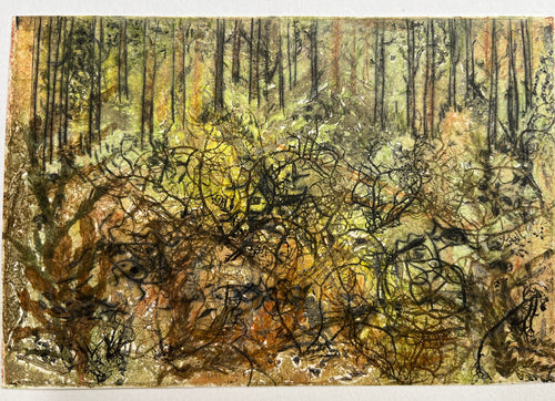 Charani Ranasinghe | Dear Forests | Mixed Media | Forest ground magnified