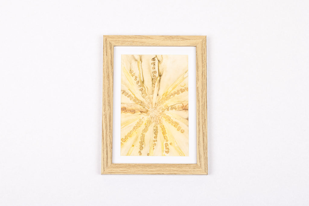 Josie Cosgrove | Where the Light Dances| 12. Wattle Flower