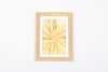 Josie Cosgrove | Where the Light Dances| 12. Wattle Flower