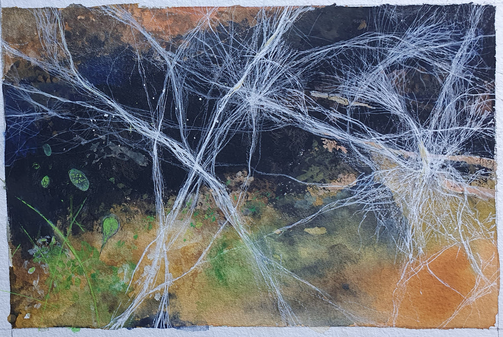 Helen South | Dear Forests | Mixed Media | Mycelium Study