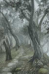 Sara Tuell | Dear Forests | Painting | A misty day under the snow gums at Mt. Timbertop in Victoria