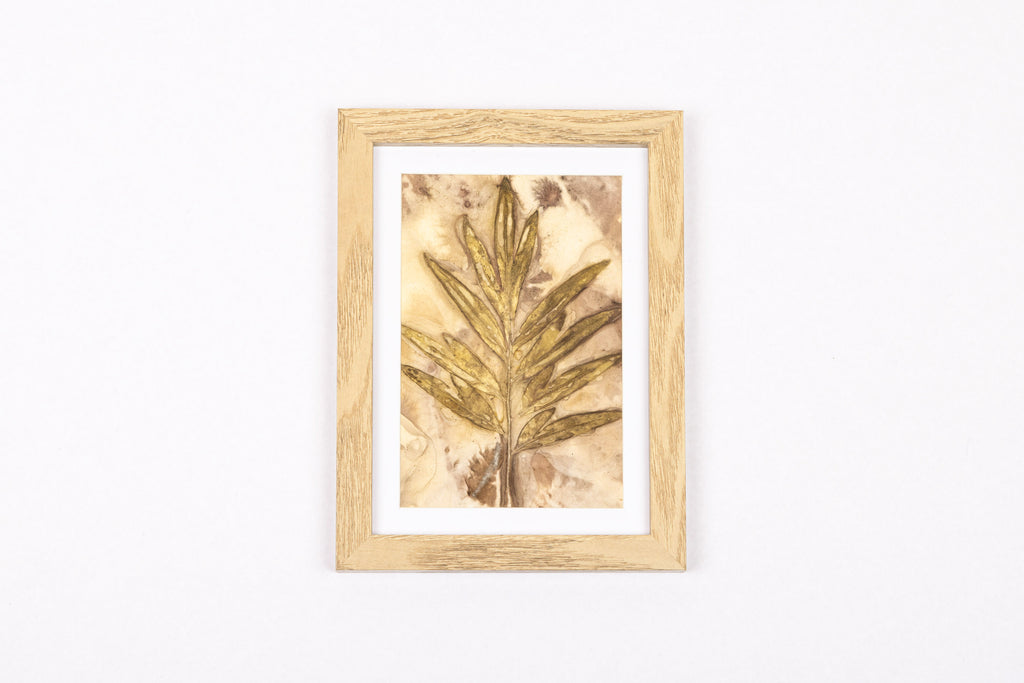 Josie Cosgrove | Where the Light Dances| 16. Robust and Beautiful
