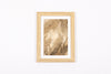 Josie Cosgrove | Where the Light Dances| 17. Traces of Silver