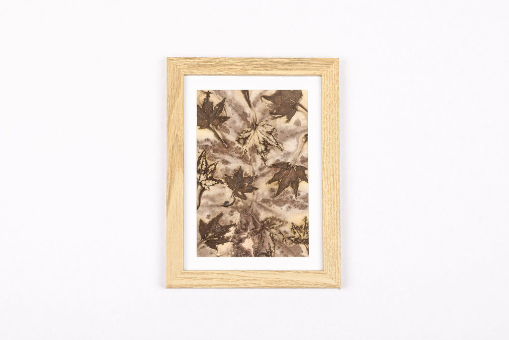 Josie Cosgrove | Where the Light Dances| 19. Drifting Maple