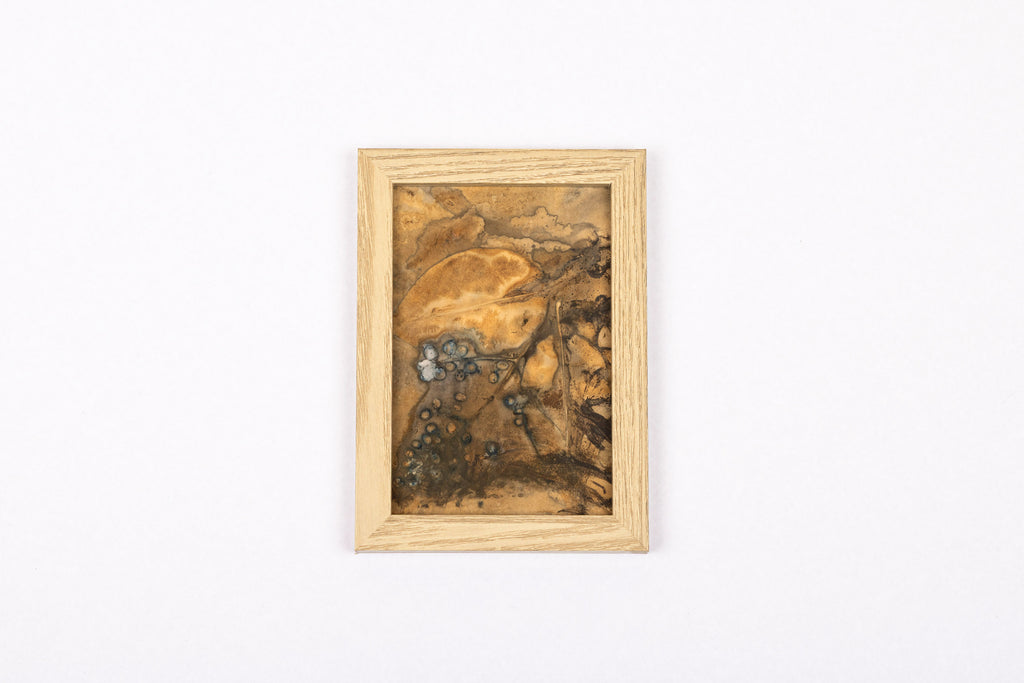 Josie Cosgrove | Where the Light Dances| 2. Privet