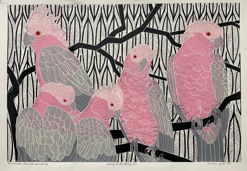 Christine  Upton | Printmaking | Waiting for the Morning Sun 9/10