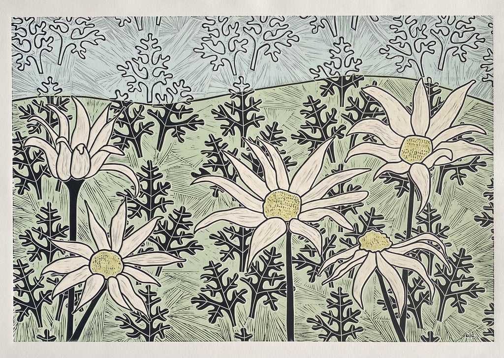 Christine  Upton | Printmaking | Flannel Flower 6/10