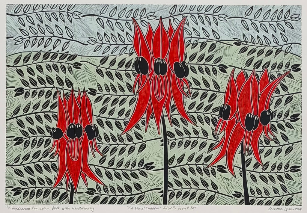 Christine  Upton | Printmaking | Sturt's Desert Pea 4/9
