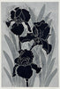Christine  Upton | Printmaking | Black Magic 5/8