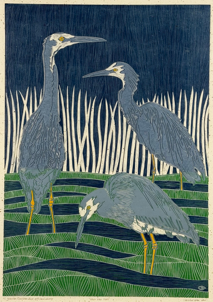 Christine  Upton | Printmaking | Which Way Next 6/7