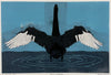 Christine  Upton | Printmaking | Beauty is Everywhere 3/8