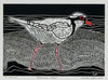 Christine  Upton | Printmaking | Afternoon Stroll  5/13