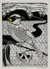 Christine  Upton | Printmaking | Scrutiny  7/13
