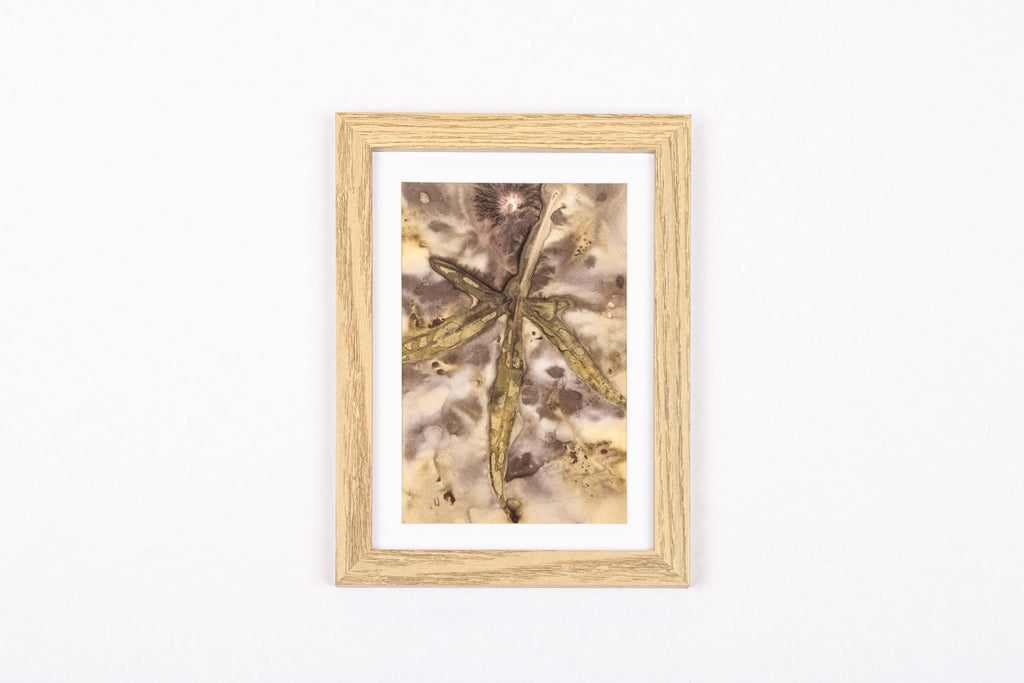 Josie Cosgrove | Where the Light Dances| 21. Burning Bottles