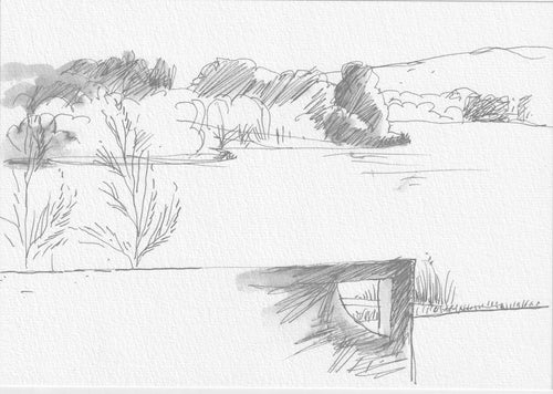 Rowena Evans | Drawing | Looking northwest with Casurinas