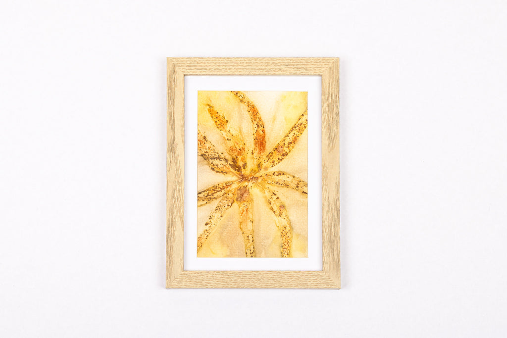 Josie Cosgrove | Where the Light Dances| 22. Fire Flora