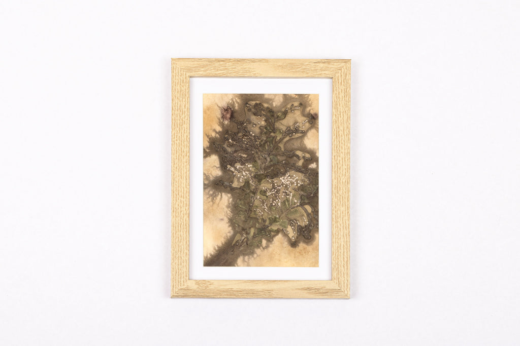 Josie Cosgrove | Where the Light Dances| 23. Bleeding Blooms