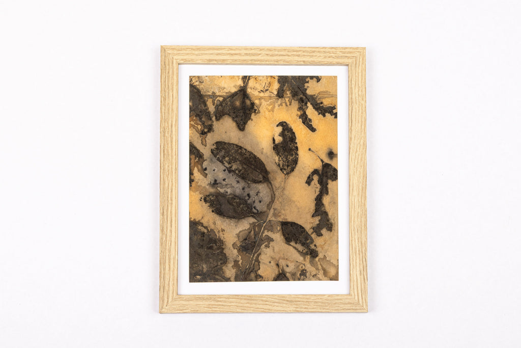Josie Cosgrove | Where the Light Dances | 24. Eaten Alive
