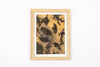 Josie Cosgrove | Where the Light Dances | 24. Eaten Alive
