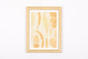 Josie Cosgrove | Where the Light Dances| 25. Colours on Silk