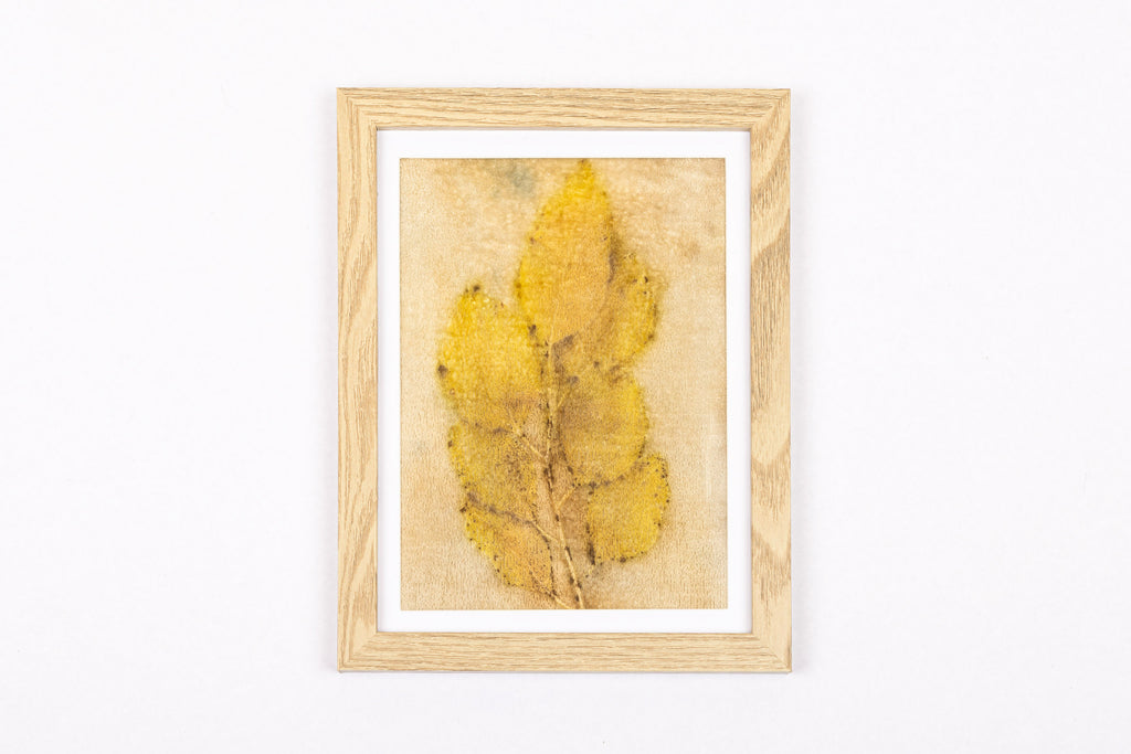Josie Cosgrove | Where the Light Dances| 26. Velvet Gold