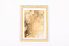 Josie Cosgrove | Where the Light Dances| 29. Green and Gold