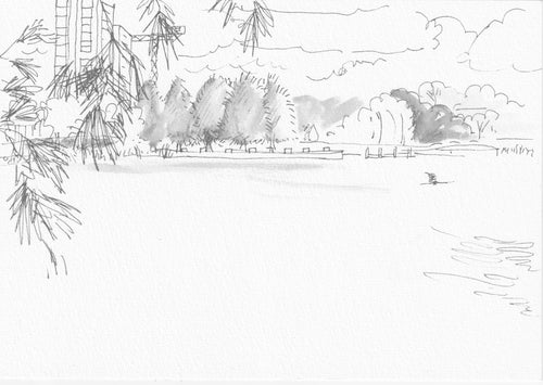 Rowena Evans | Drawing | Looking southwest with Casuarina Point