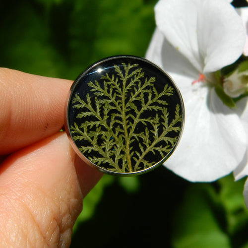 Irina Nazarova | 3. Ring - Fern |