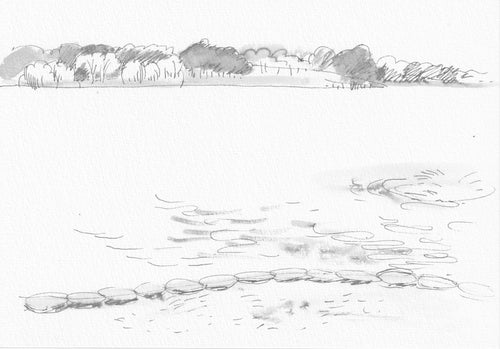 Rowena Evans | Drawing | Looking west with carp splash