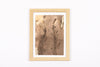 Josie Cosgrove | Where the Light Dances| 31. Side by Side