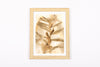 Josie Cosgrove | Printmaking | 32. Fluffy Bananas