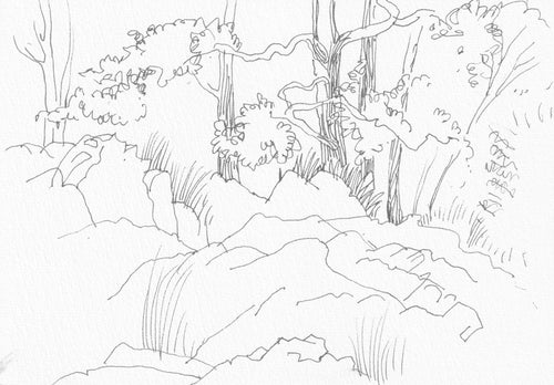 Rowena Evans | Drawing | Looking west at trees and rocks
