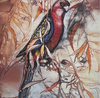 Jo Hollier | Art Cards | Bird Life 4 card 4