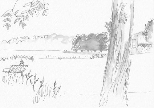 Rowena Evans | Drawing | Looking east southeast with Casuarina Point