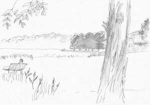 Rowena Evans | Drawing | Looking east southeast with Casuarina Point