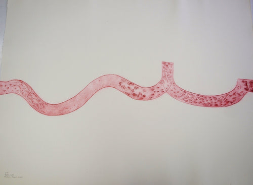 Rowena Evans | Printmaking | South Walk