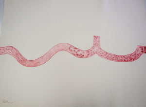 Rowena Evans | Printmaking | South Walk