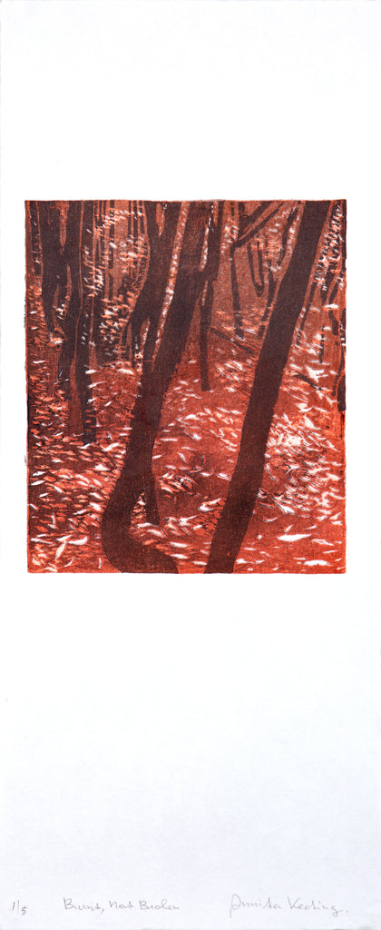 Annita Keating |  Rock at the Roadside | Burnt, not broken