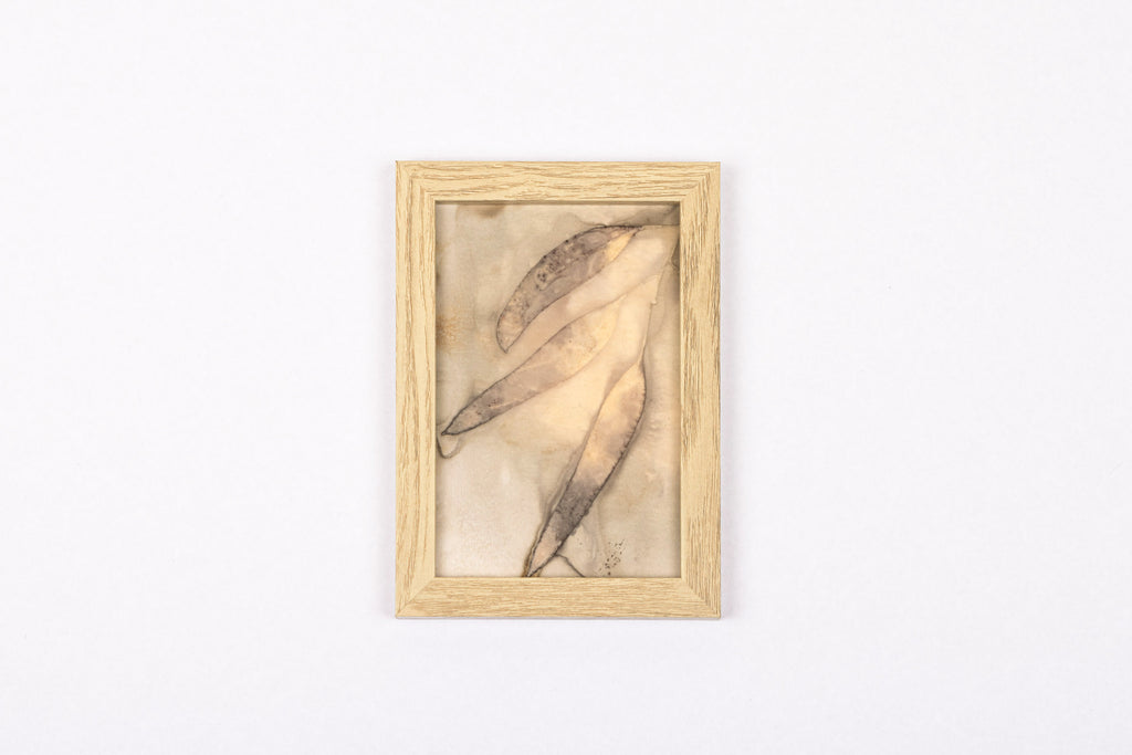 Josie Cosgrove | Where the Light Dances| 4. Tri-mannifera