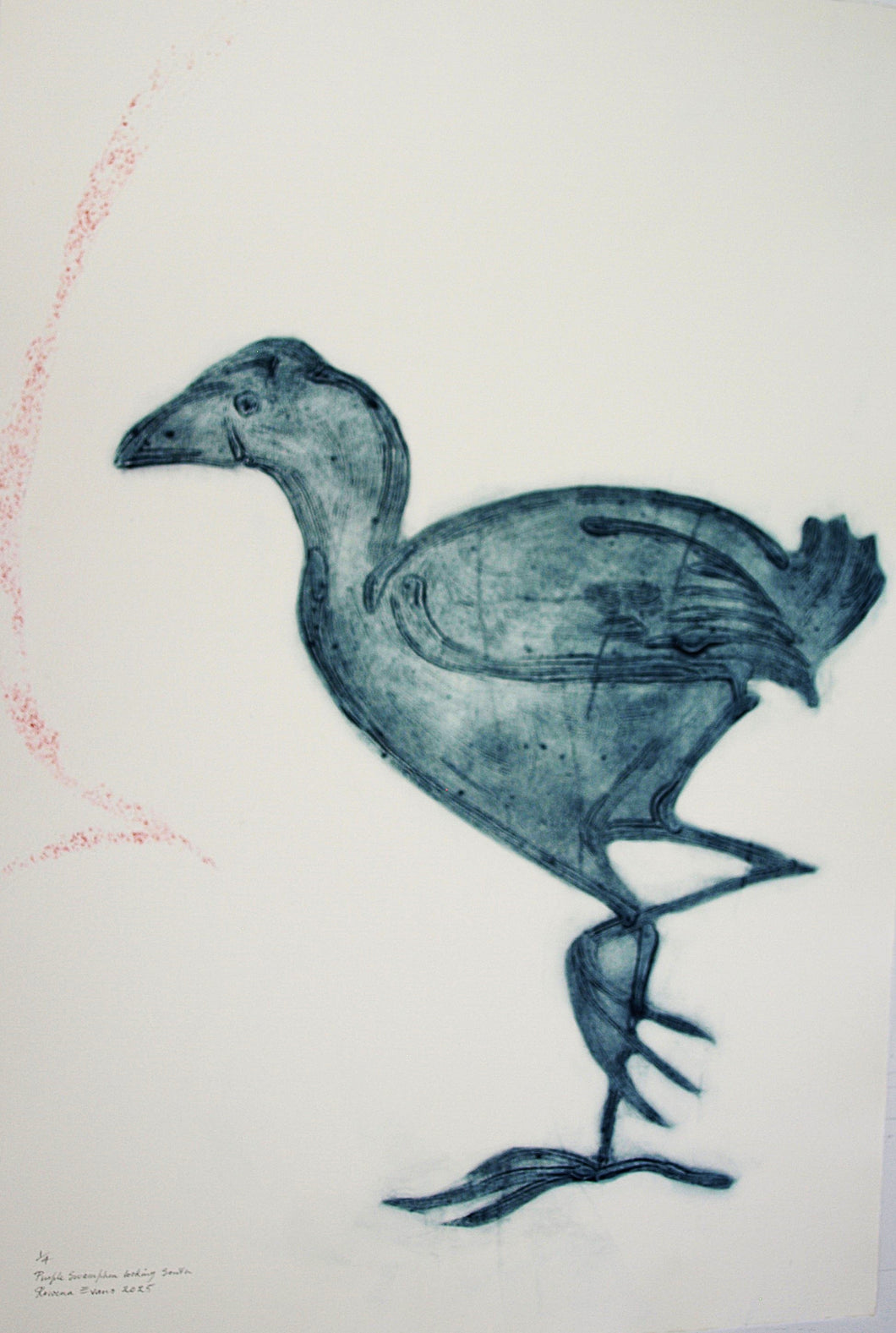 Rowena Evans | Printmaking | Purple Swamphen looking south