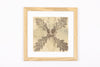 Josie Cosgrove | Where the Light Dances | 42. Memory Remains