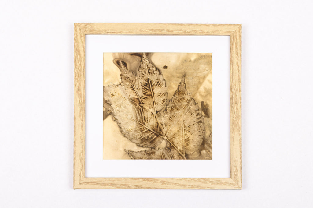 Josie Cosgrove | Where the Light Dances | 43. Leaves and Seeds