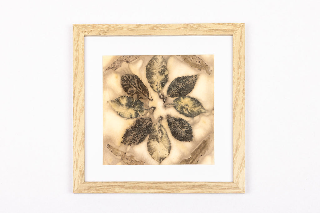 Josie Cosgrove | Where the Light Dances | 44. Leaf Blossom