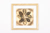 Josie Cosgrove | Where the Light Dances | 44. Leaf Blossom