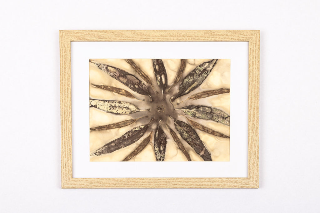 Josie Cosgrove | Where the Light Dances | 45. Mandala