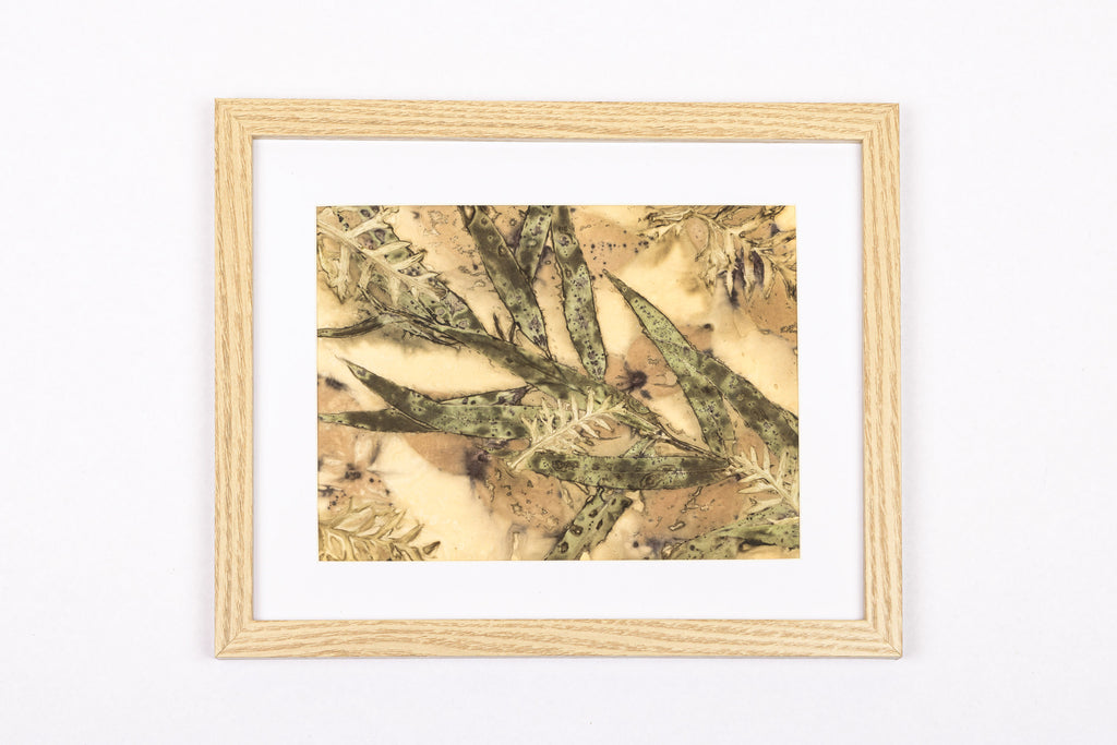Josie Cosgrove | Where the Light Dances | 46. Garden Grevillea