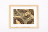 Josie Cosgrove | Where the Light Dances | 48. Layered Leaves