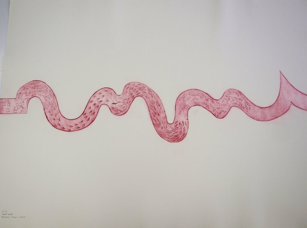 Rowena Evans | Printmaking | West Walk